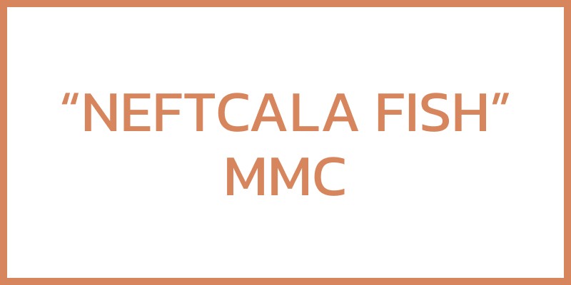 “NEFTCALA FISH” MMC